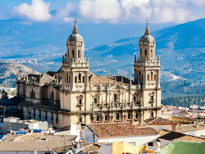 Jaen olive grove hills